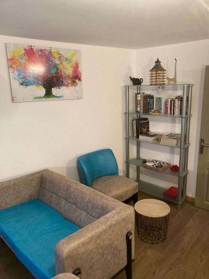 Appartement Plein Pied 45 M2 Баккара Экстерьер фото